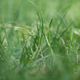 Image for article titled Battle of the Superzooms: Canon G3X vs. Sony RX10 Mark II